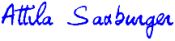 sig_saxburger.png